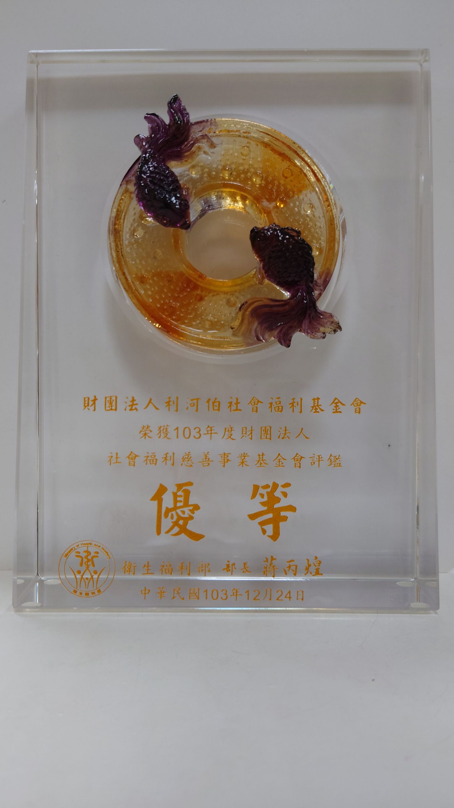 113年衛福部評鑑優等